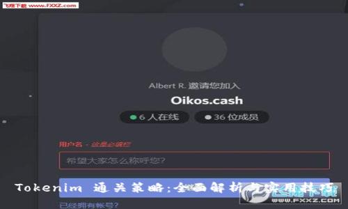 Tokenim 通关策略：全面解析与实用技巧